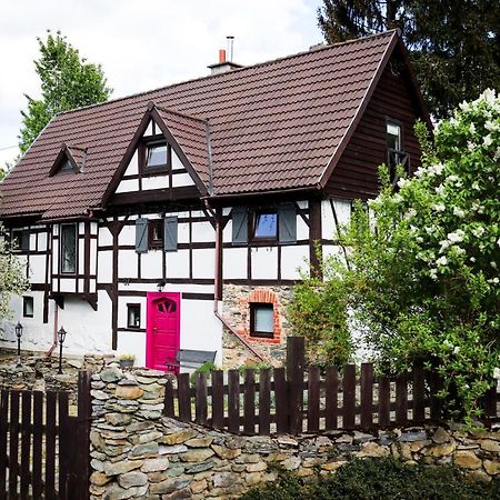 Za Rozowymi Drzwiami Villa Jelenia Góra Екстериор снимка