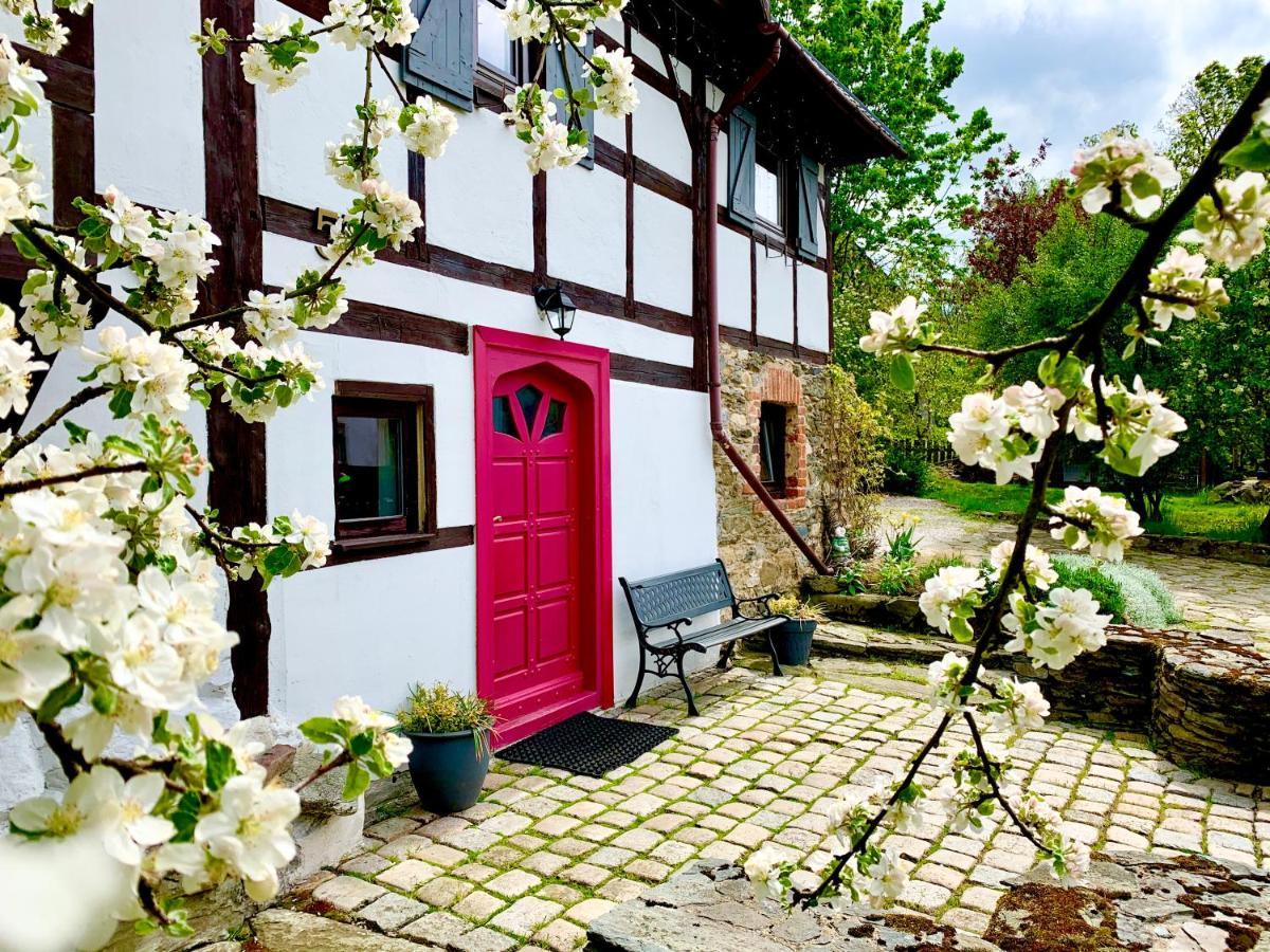 Za Rozowymi Drzwiami Villa Jelenia Góra Екстериор снимка